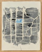 'Lucidez del agua' de Pablo Noguera llega al Palau