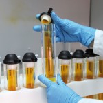 Los institutos tecnológicos defienden los intereses de las pymes en los comités internacionales