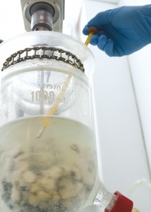 2015-enero-Redit-notis-Inescop-Microtan