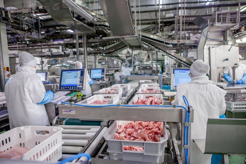 Martínez Loriente -Planta cheste