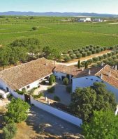 Bodegas Vicente Gandía: “Nuestro reto es llegar a nuevos consumidores a través de la innovación”