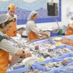 Mercadona contratará 5.000 personas para la campaña de verano