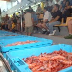 El pescado de lonja tendrá marca propia en la Comunidad Valenciana