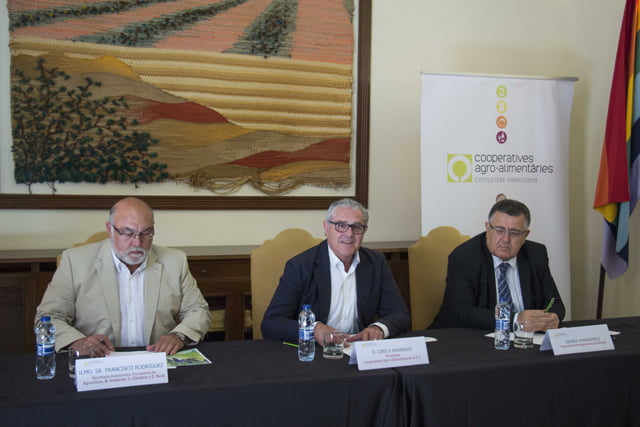 Georgia se interesa por el modelo cooperativo agrario de la Comunidad Valenciana