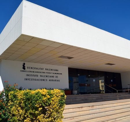 Agricultura organiza un simposio internacional sobre la Xylella y su efecto en el Mediterráneo