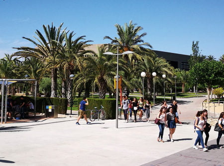 La UMH oferta formación multidisciplinar adaptada al mercado laboral