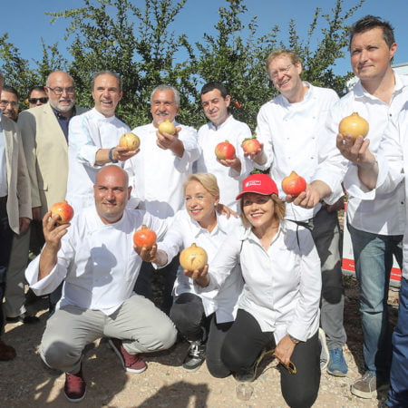 Ricard Camarena apadrina el corte de la granada mollar en Albatera