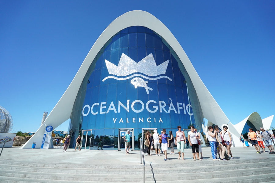 El Oceanogràfic alcanza en agosto el millón de visitantes anuales