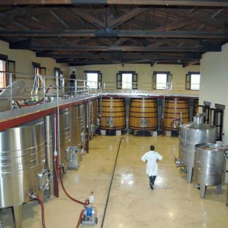 sector vitivinícola