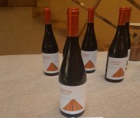 Bodega el Angosto recupera cepas autóctonas con su nuevo vino Vereda