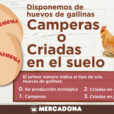 Mercadona empieza a comercializar huevos de gallinas criadas en el suelo