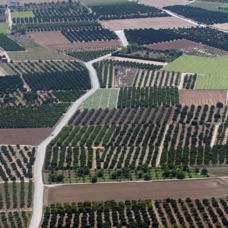 Consellería adelanta los pagos directos de la PAC a los agricultores valencianos