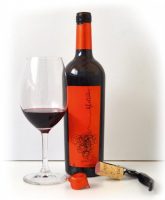 Rafael Cambra Dos 2016