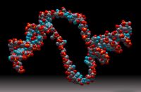 Nace Genotipia, la comunidad de profesionales de la genética médica