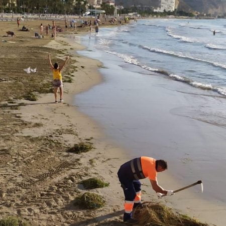 Las playas de Alicante vuelven a la normalidad tras las fuertes lluvias