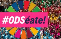 Se dispara el compromiso por la sostenibilidad y contra el cambio climático