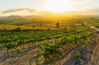 La revista Decanter se deja seducir por los vinos DO València