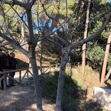 Diputación de Alicante invierte 1,3 millones en la conservación de espacios naturales