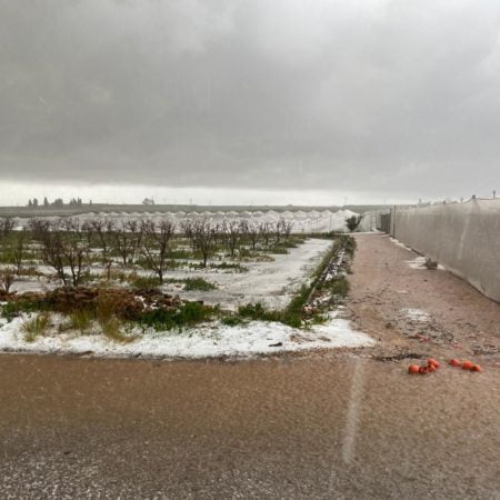 Agricultura pide al Gobierno rebajas fiscales para los cultivos afectados por temporales