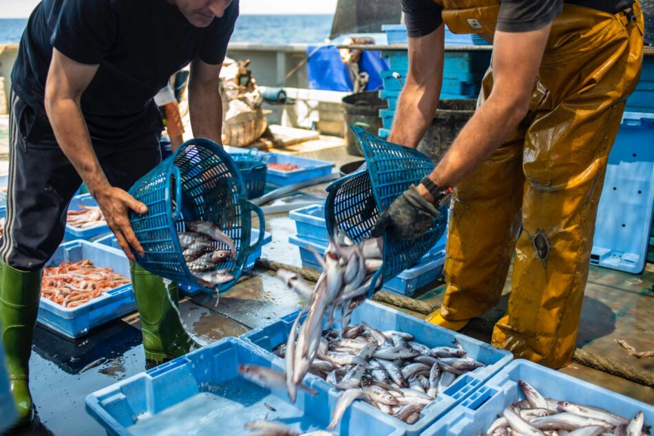 delivery pescaderías vedas a la pesca fondo Pescadería Artesanal Adepesca Fedepesca Alianza Europea de Pesca de Fondo Federación Nacional de Cofradías Pesqueras
