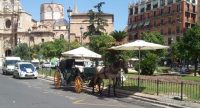 Coches de caballos es un servicio turístico para turistas y valencianos para dar una vuelta por las calles de Valencia