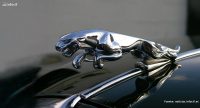 La historia de Jaguar