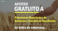 Infocif te da acceso gratuito a las principales magnitudes de balances y cuentas de resultados de empresas españolas