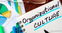 ¿Qué es la cultura organizacional?