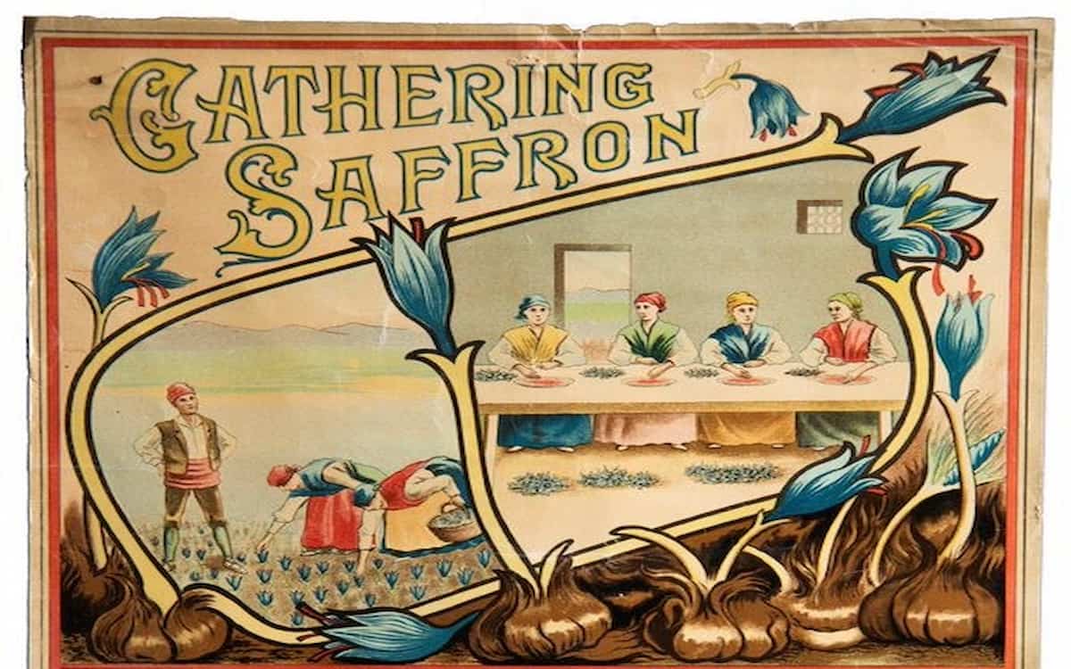 Cartel publicitario de Saffron