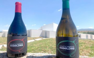 Sierra Norte y Asindown presentan vinos ‘Genéticamente Rebeldes’