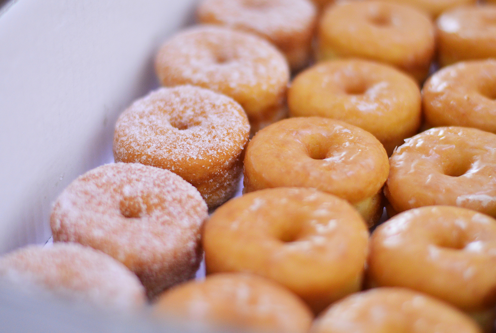 Donuts. Bimbo. Vicky Foods.