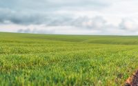 Regenera Iberia 2026 aborda el futuro de la agricultura regenerativa