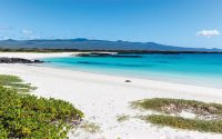 Islas Galápagos: Siguiendo los pasos de Darwin en un entorno paradisíaco