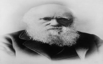 Charles Darwin y la teoría de la evolución