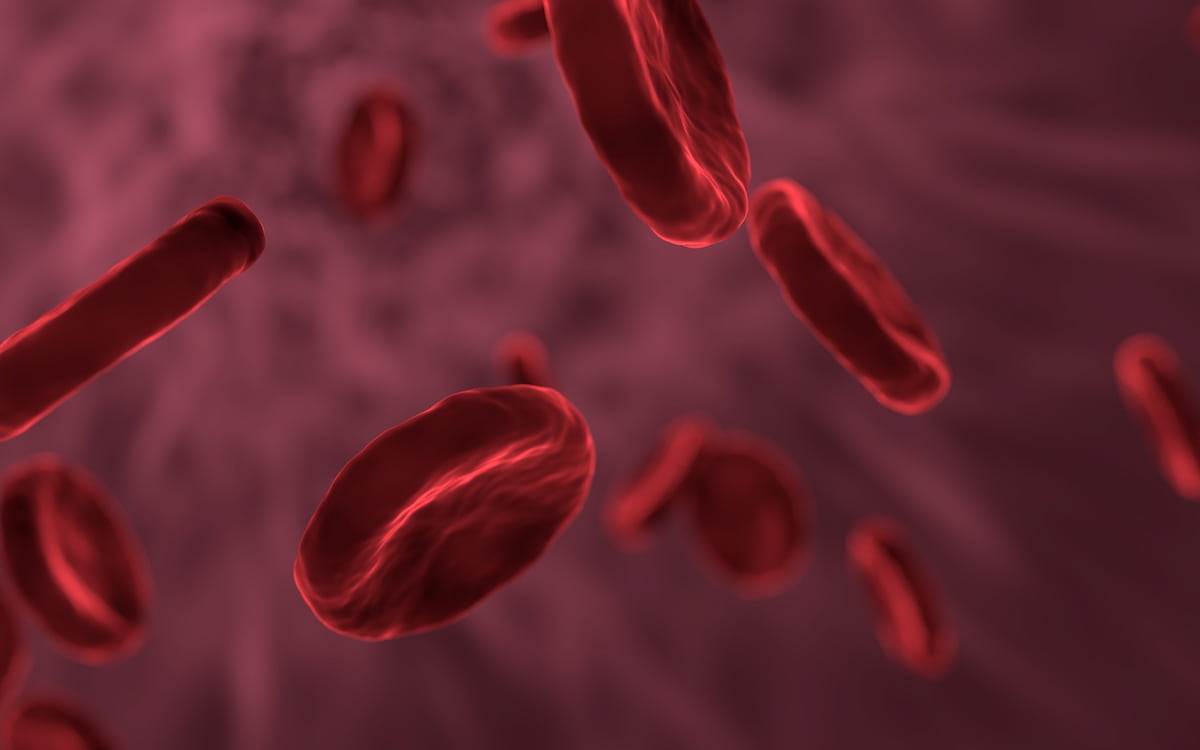 Glóbulos rojos. Células.