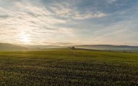 Trigo, maíz y cacao: cuando el campo cotiza en Bolsa