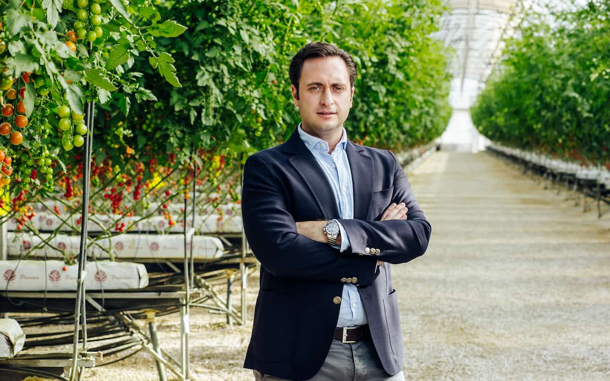 Referente alicantino del tomate y los productos tropicales cultivados en España