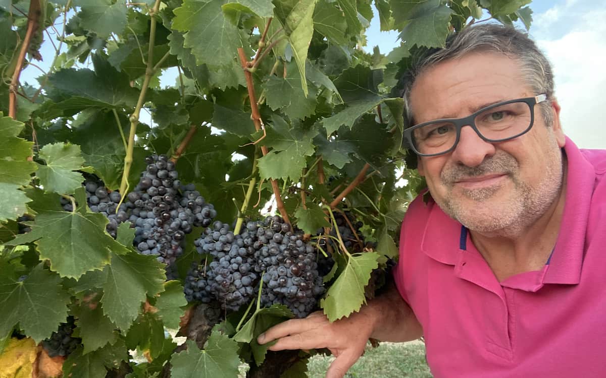 Rogelio Iranzo, delegado en Requena-Campaña del vino de Access ETT