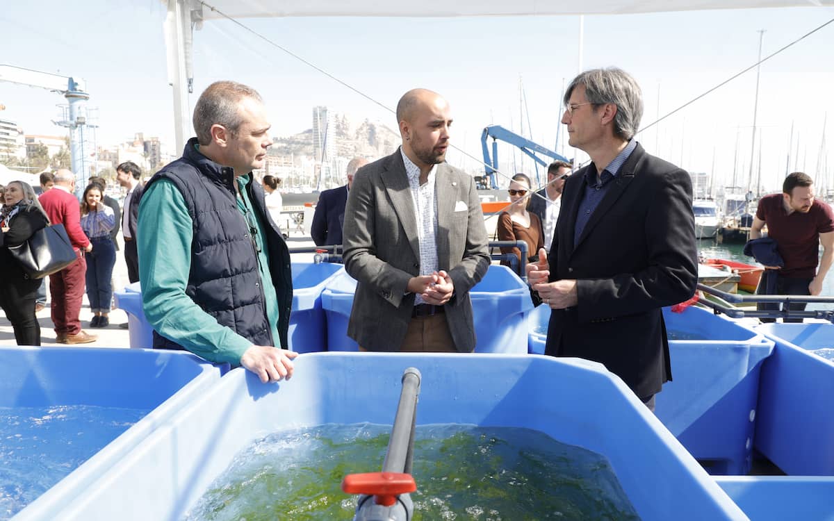 Mediterranean Algae, un proyecto para la ‘bioerremediación’ marítima