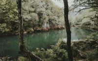 Parque Natural de las Fragas del Eume: el pulmón de Galicia