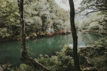 Parque Natural de las Fragas del Eume: el pulmón de Galicia