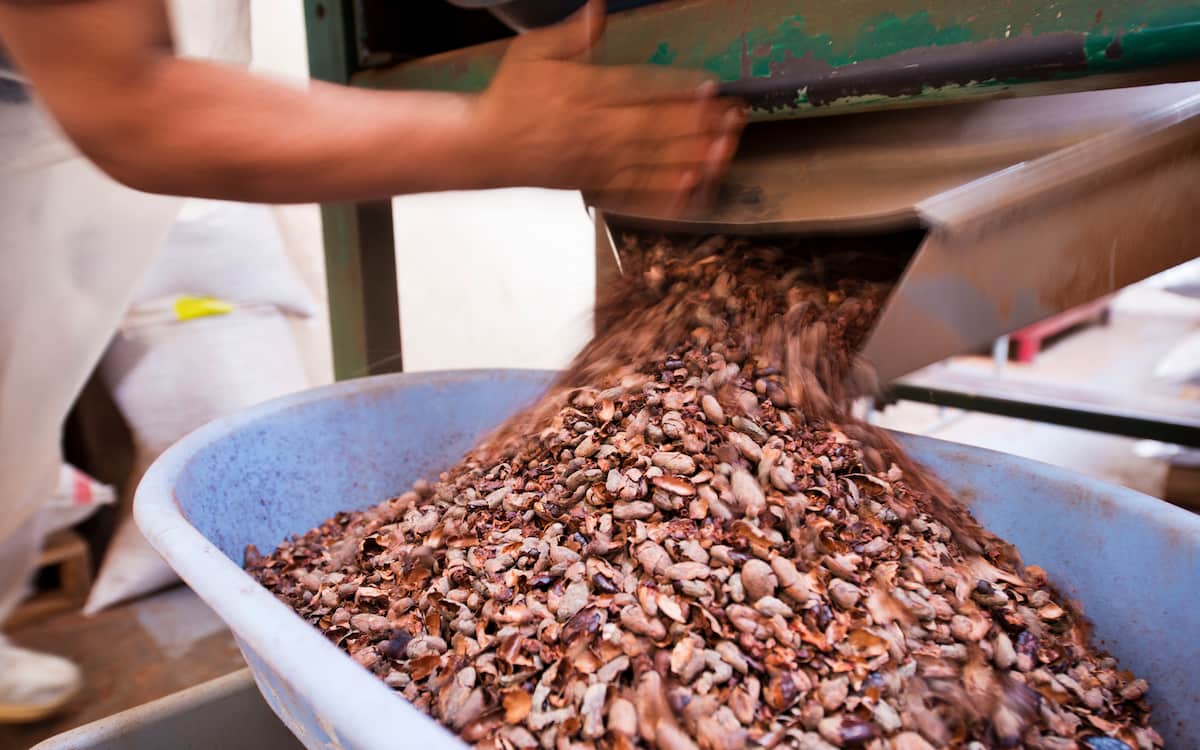 Proceso de fabricación del chocolate Paccari