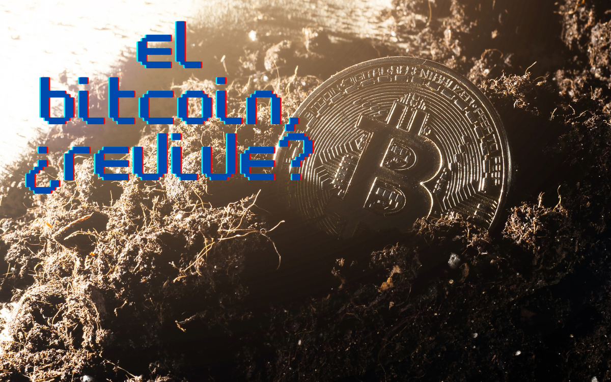 ¿Volverá a subir el Bitcoin? El alza del criptoactivo llega antes de lo esperado