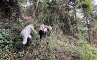 Grupo recorriendo Bwindi Forest (1)