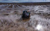 La Albufera, un espacio con alto valor paisajístico y económico tocado por la DANA