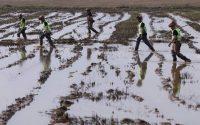 El campo reclama que se consuma producto valenciano tras la DANA