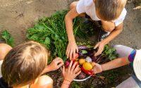 Finca Naturalia: Un Proyecto innovador en educación en agricultura sostenible