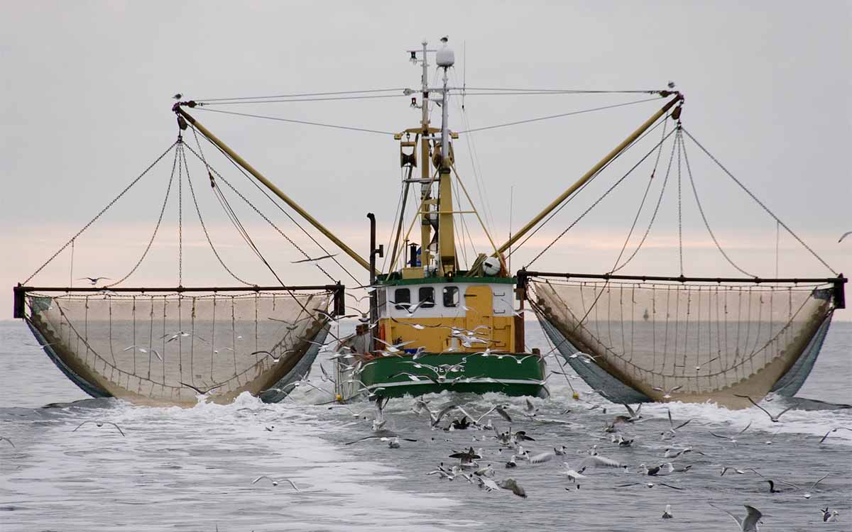 PESCA ARRASTRE normativa