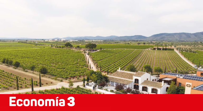 La Ruta del Vino Utiel-Requena, pionera del enoturismo