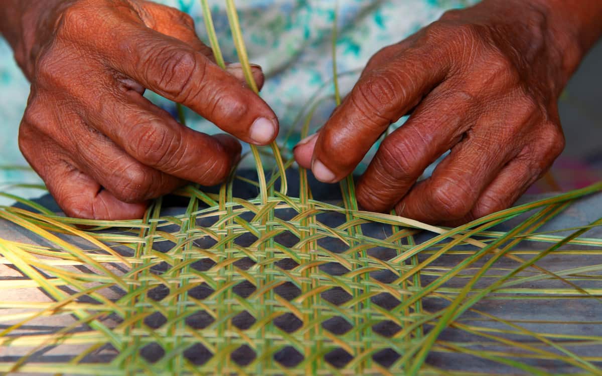 denominación de origen